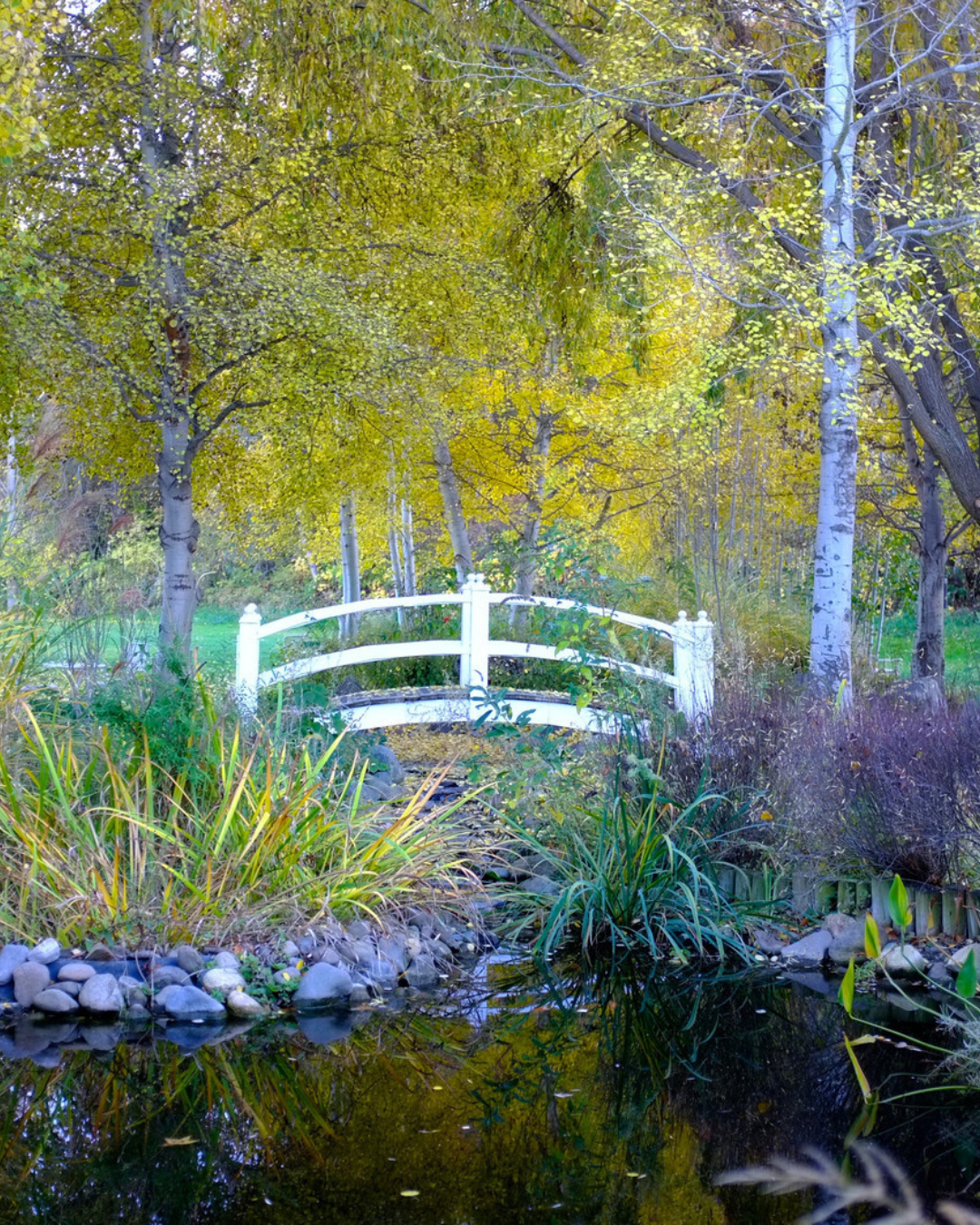 Fall at Lithia Springs Resort Fall at Lithia Springs Resort